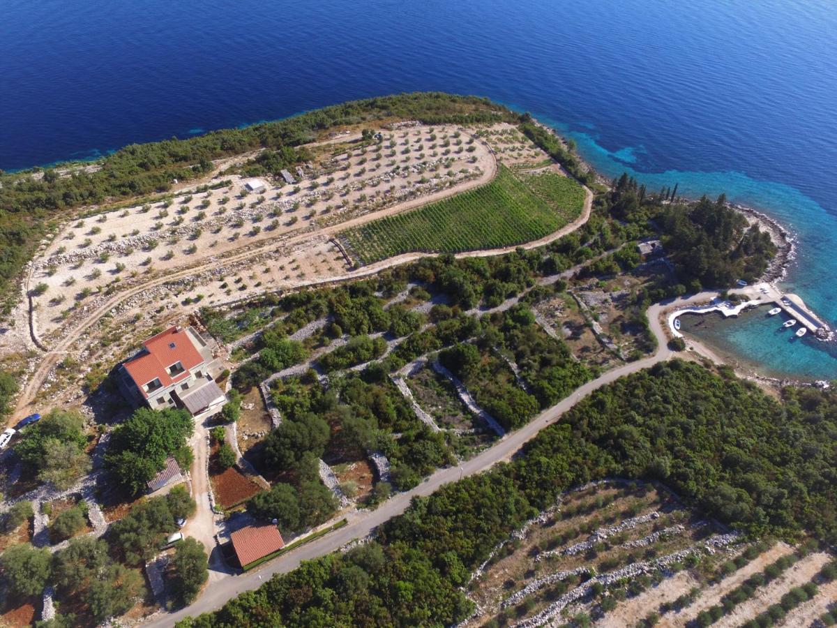 Deluxe Apartman “ Koromacna” Kneza Exterior foto